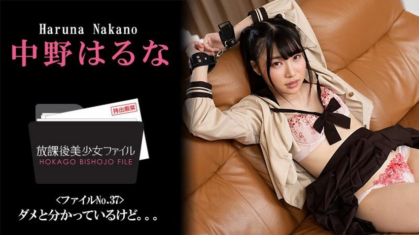 sex viejet Bloods inraku no ketsuzoku 2 2